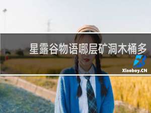星露谷物语哪层矿洞木桶多
