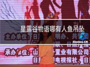 星露谷物语哪有人鱼吊坠