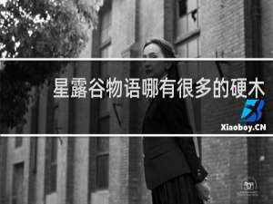 星露谷物语哪有很多的硬木
