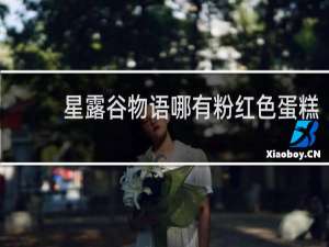 星露谷物语哪有粉红色蛋糕