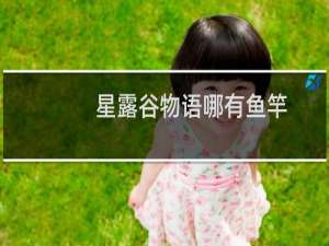 星露谷物语哪有鱼竿