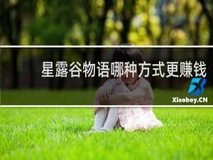 星露谷物语哪种方式更赚钱