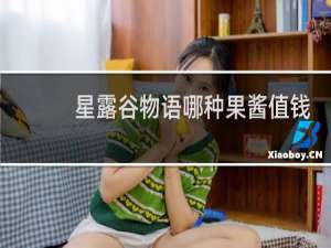 星露谷物语哪种果酱值钱