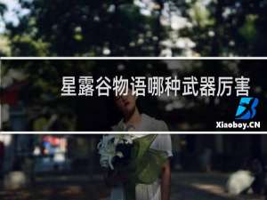 星露谷物语哪种武器厉害