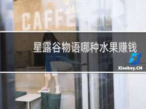 星露谷物语哪种水果赚钱