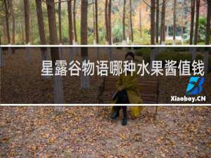 星露谷物语哪种水果酱值钱