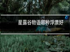 星露谷物语哪种浮漂好