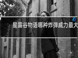 星露谷物语哪种炸弹威力最大