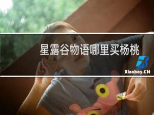 星露谷物语哪里买杨桃