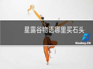 星露谷物语哪里买石头