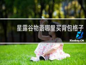 星露谷物语哪里买背包格子