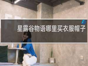 星露谷物语哪里买衣服帽子