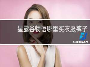 星露谷物语哪里买衣服裤子