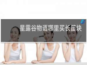 星露谷物语哪里买长笛块