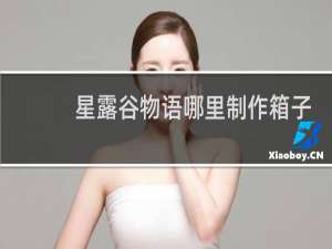 星露谷物语哪里制作箱子