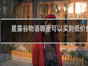 星露谷物语哪里可以买到低价鱼