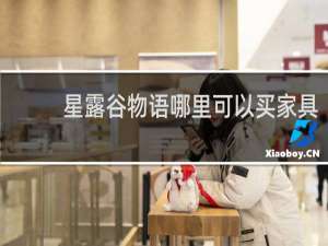星露谷物语哪里可以买家具