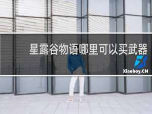 星露谷物语哪里可以买武器