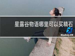 星露谷物语哪里可以买精石