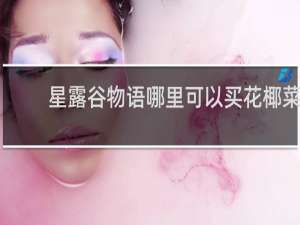 星露谷物语哪里可以买花椰菜