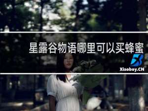 星露谷物语哪里可以买蜂蜜