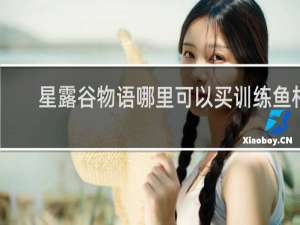 星露谷物语哪里可以买训练鱼杆