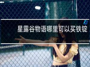 星露谷物语哪里可以买铁锭