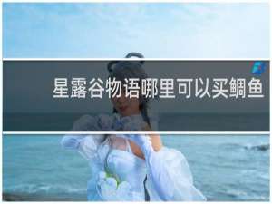星露谷物语哪里可以买鲷鱼