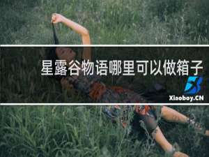 星露谷物语哪里可以做箱子