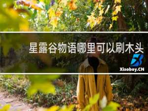 星露谷物语哪里可以刷木头