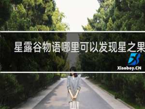 星露谷物语哪里可以发现星之果实