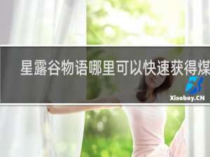 星露谷物语哪里可以快速获得煤炭