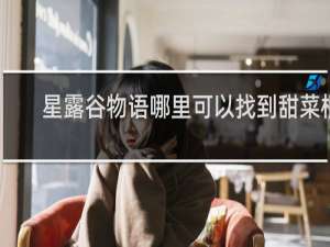 星露谷物语哪里可以找到甜菜根