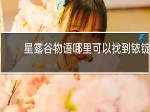星露谷物语哪里可以找到铱锭