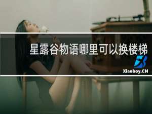 星露谷物语哪里可以换楼梯