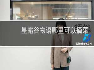 星露谷物语哪里可以摘菜