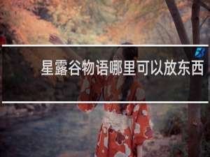 星露谷物语哪里可以放东西