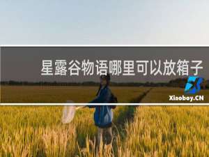 星露谷物语哪里可以放箱子