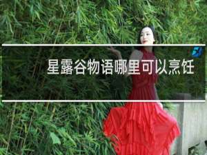 星露谷物语哪里可以烹饪