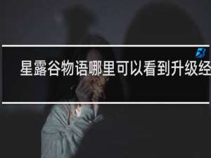 星露谷物语哪里可以看到升级经验