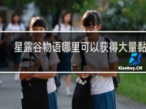 星露谷物语哪里可以获得大量黏土