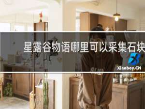 星露谷物语哪里可以采集石块