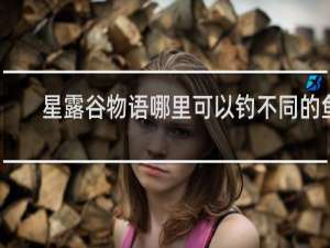 星露谷物语哪里可以钓不同的鱼