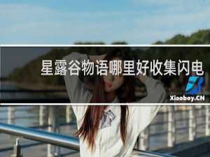 星露谷物语哪里好收集闪电