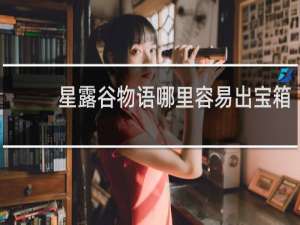 星露谷物语哪里容易出宝箱