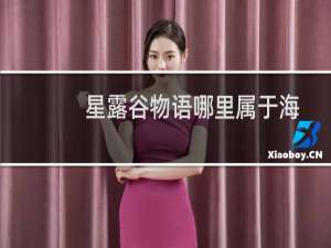 星露谷物语哪里属于海