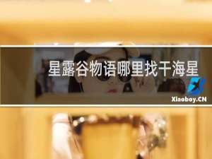 星露谷物语哪里找干海星