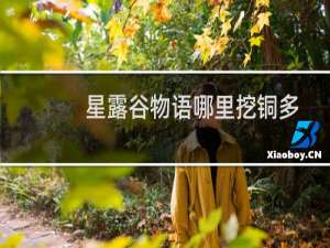 星露谷物语哪里挖铜多