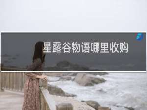 星露谷物语哪里收购