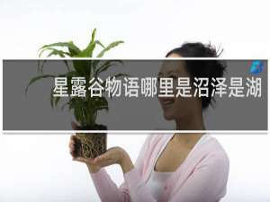 星露谷物语哪里是沼泽是湖